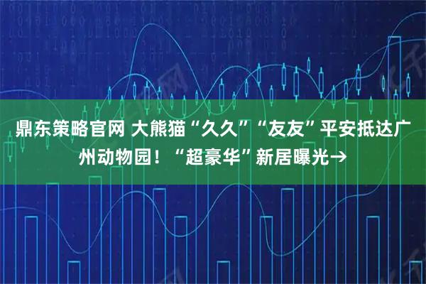 鼎东策略官网 大熊猫“久久”“友友”平安抵达广州动物园！“超豪华”新居曝光→